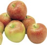Gartenlinks zum Obst