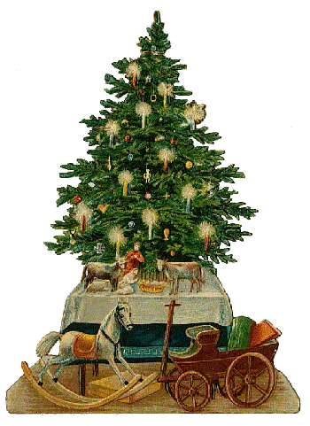 Gartenkulturthemen im  Adventskalender