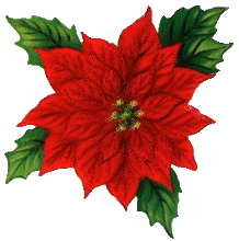 Adventskalender