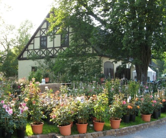 Gartenfestival Ippenburg