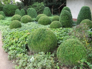 Formschnitt-Garten