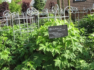 Garten Berger Schmalensee