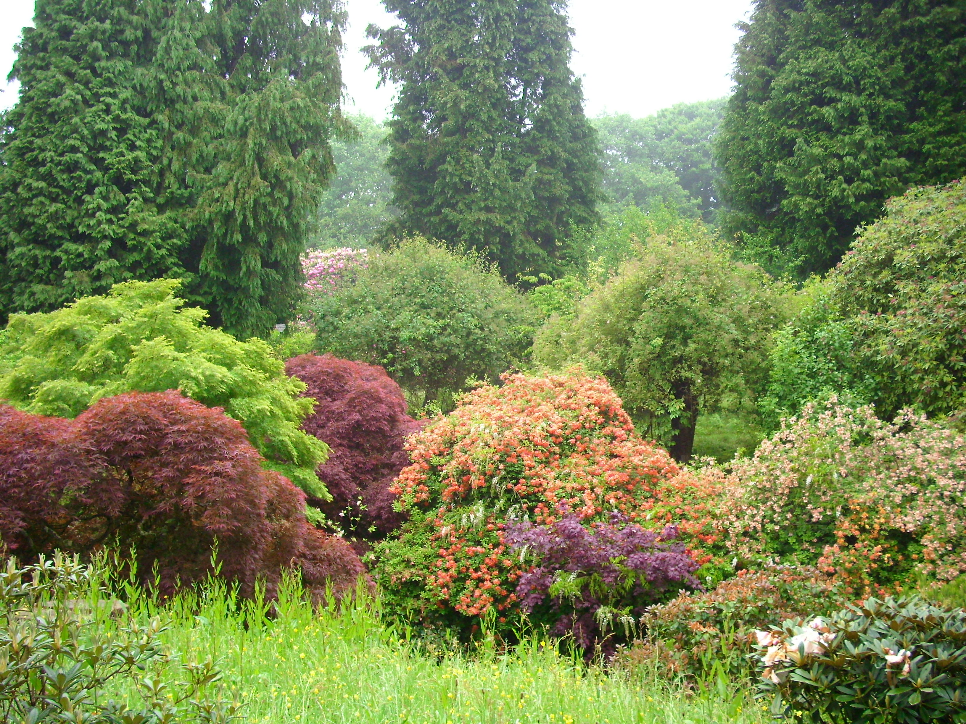 Ramster Garden