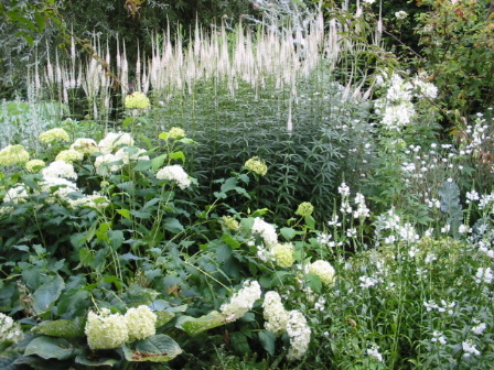 Weisser Garten in Sissinghurst