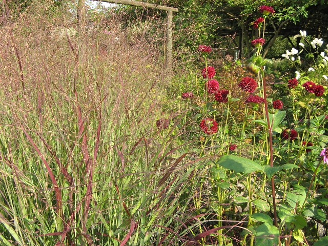 Tuin Verheggen Lottum Fotos Bilder Von Unseren Gartenreisen