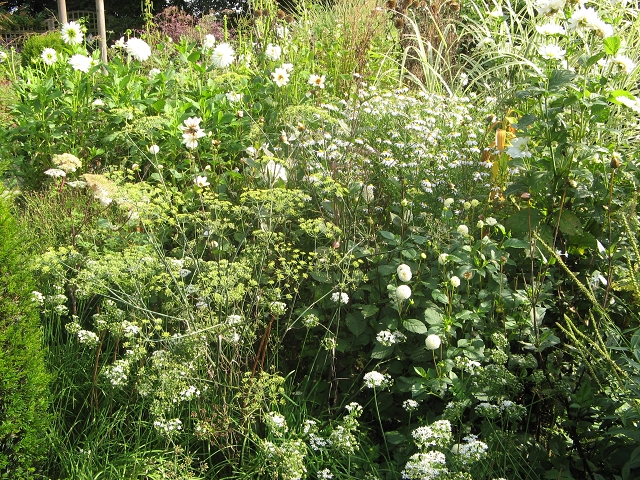 Tuin Verheggen Lottum Fotos Bilder Von Unseren Gartenreisen