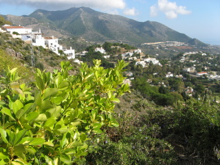 Andalusien Gärten
